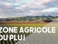 CONCERTATION AGRICOLE PLUI PAYS DE WISSEMBOURG