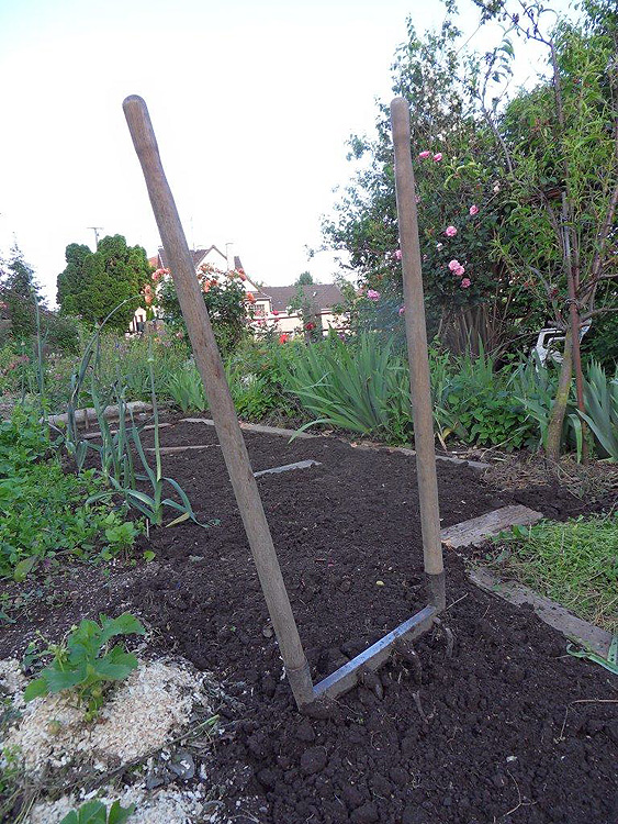 compost dans la jardin